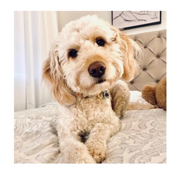 Meet your Posher, Haley - Picture 1 of 1